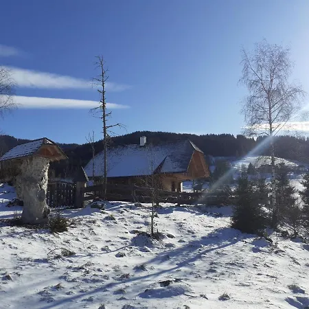 Pichelhuette * Murau