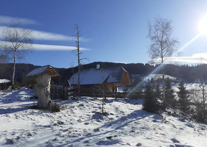 Pichelhuette * Murau